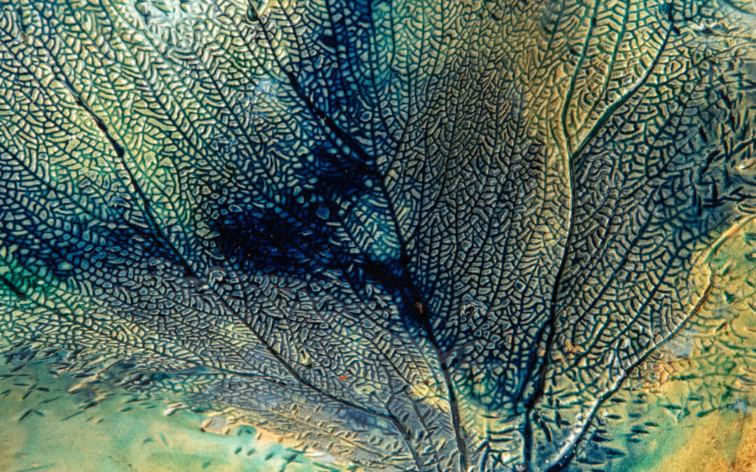 Ostraca I (detalle)